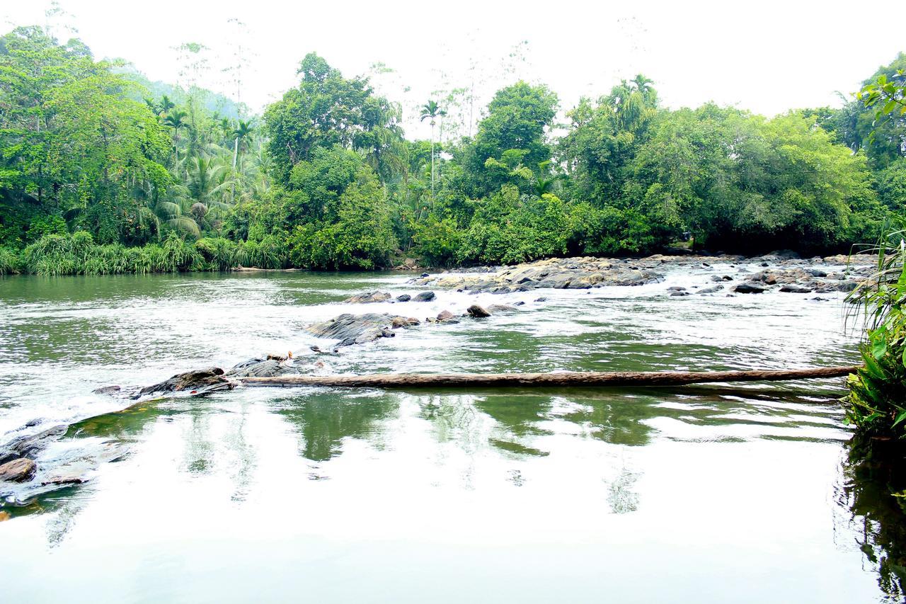 Bedda Eco Cottages เดนิยายา ภายนอก รูปภาพ
