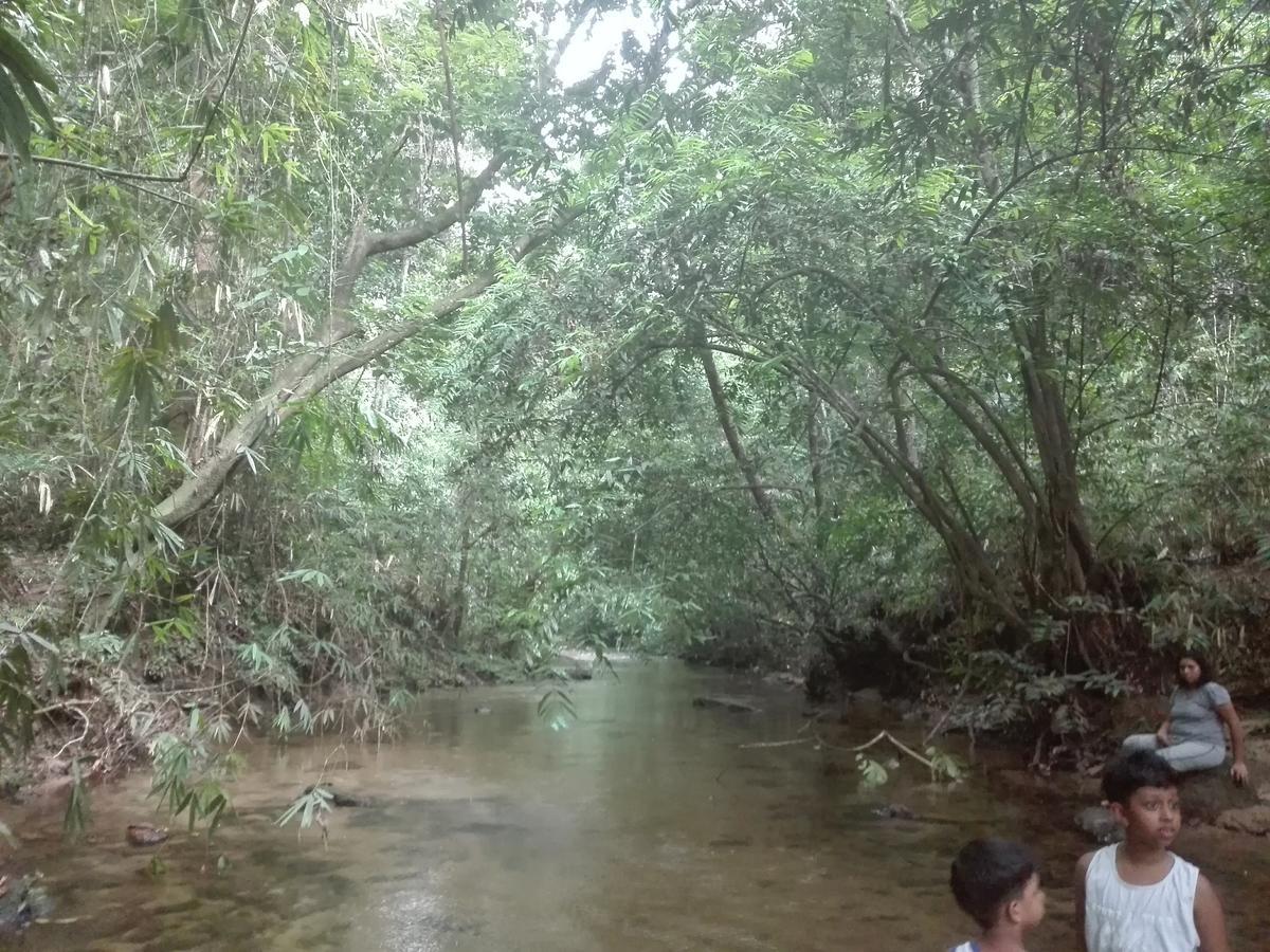 Bedda Eco Cottages เดนิยายา ภายนอก รูปภาพ