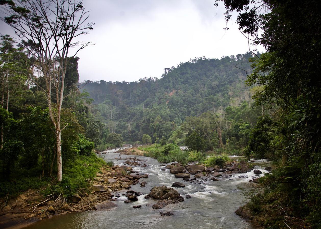 Bedda Eco Cottages เดนิยายา ภายนอก รูปภาพ